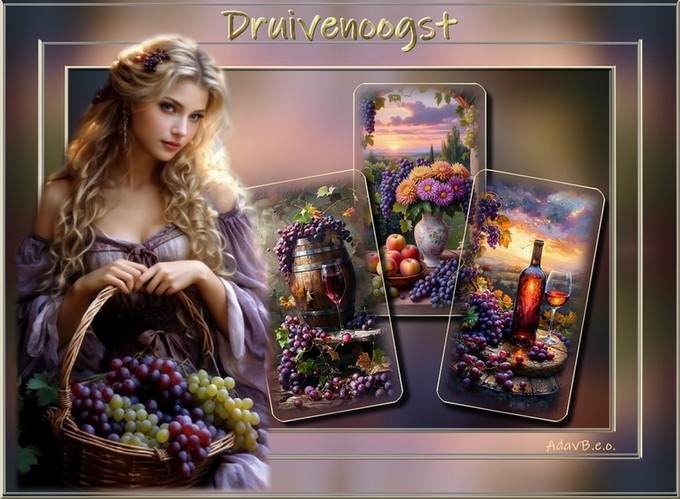 les 168 Druivenoogst