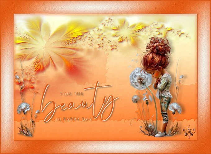 Find the Beauty