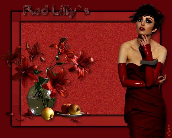 Red lilly`s