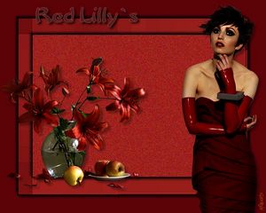 Red lilly`s