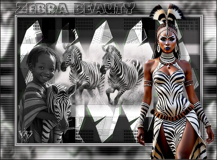 Zebra Beauty