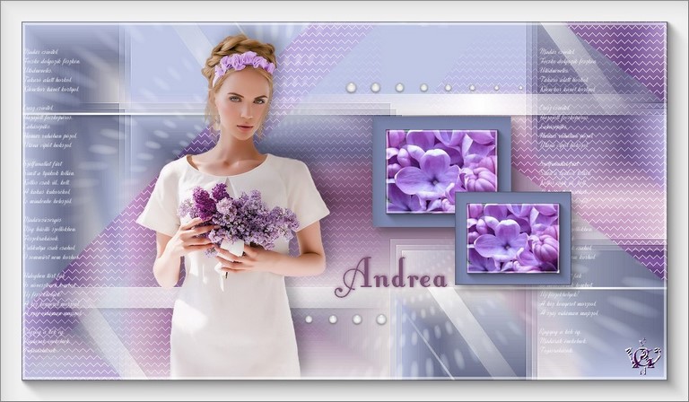Andrea 2