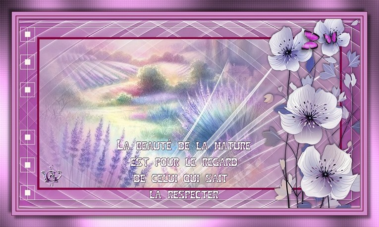 Nature 2