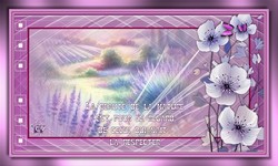Nature 2