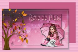 Reve de pluie